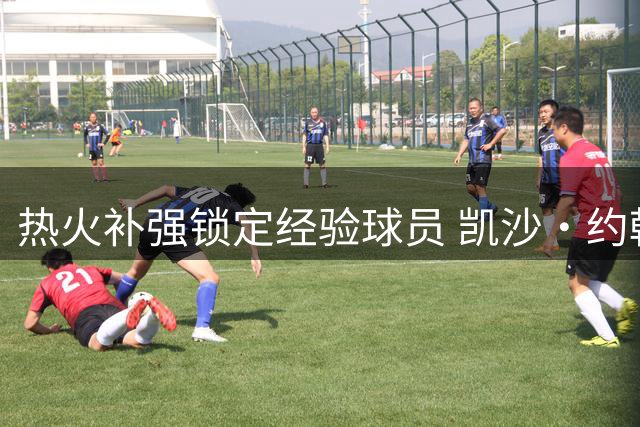 热火补强锁定经验球员 凯沙·约翰逊双向合同存转机