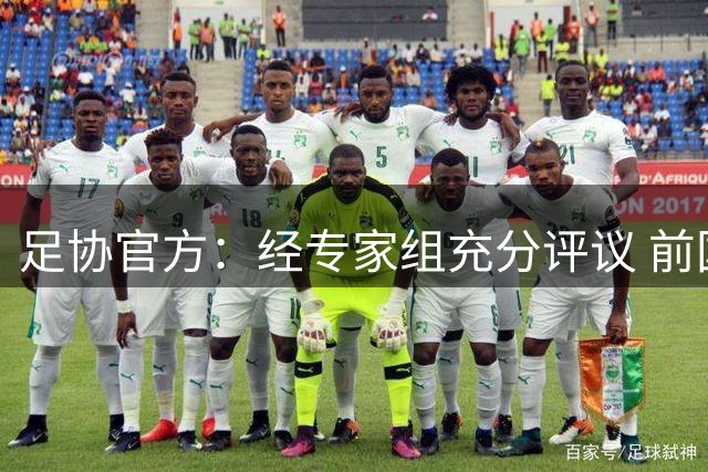 足协官方：经专家组充分评议 前国脚张耀坤出任U16国足主帅